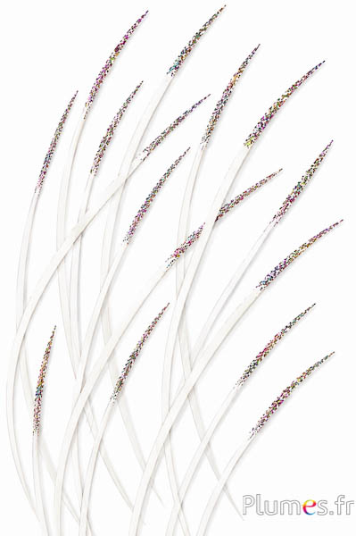 Gans meerkleurige glitters - 16-18 cm - wit